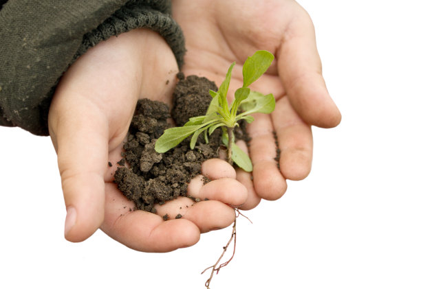 孩子抱着植物和土壤图片下载
