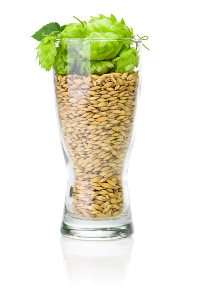 啤酒与绿色啤酒花和大麦分离图片下载