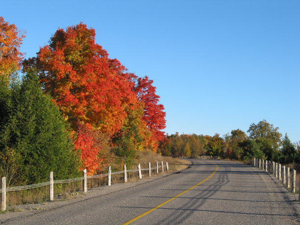 秋天的颜色图片下载