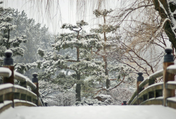 日本冬季花园图片下载