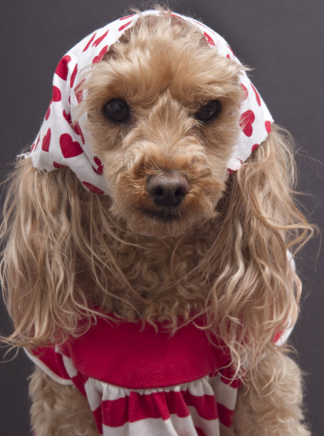 思考爱图片下载