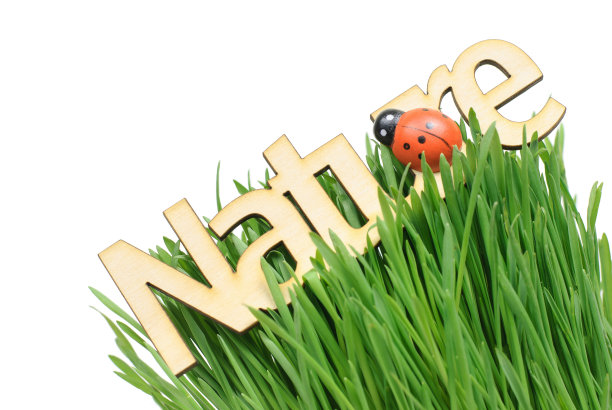 草地上的瓢虫木制标志图片下载