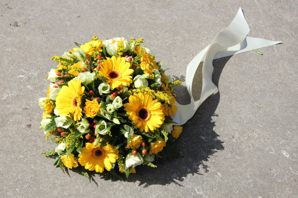 黄色的同情花图片下载