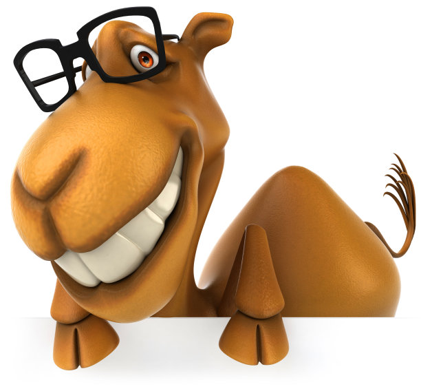 有趣的骆驼图片下载