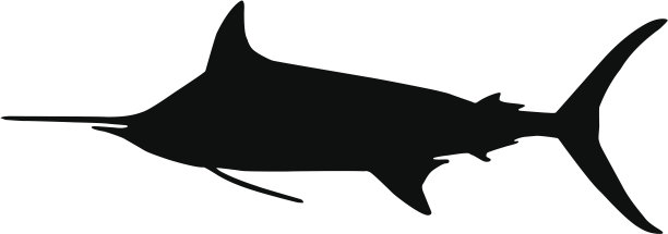 黑色枪鱼图片下载