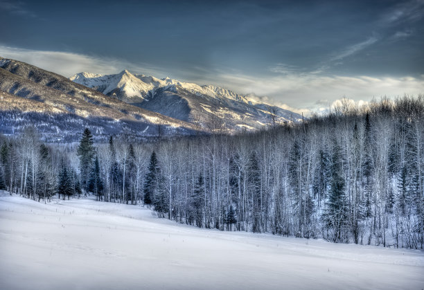 邓斯特和罗布森山谷图片下载