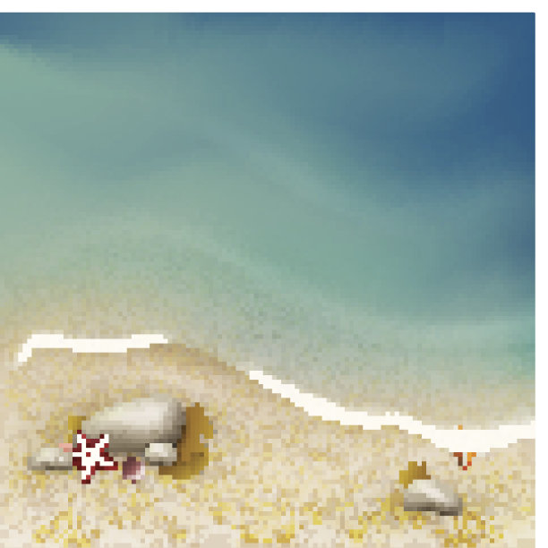 有岩石、海草和海星的海景图片下载