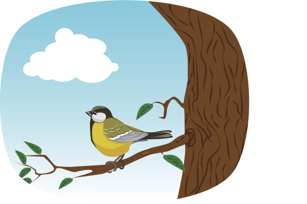 树上的鸟图片下载