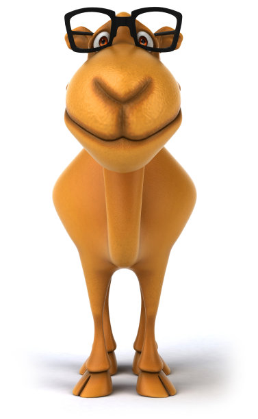 有趣的骆驼图片下载