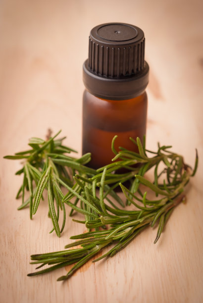 迷迭香精油图片下载