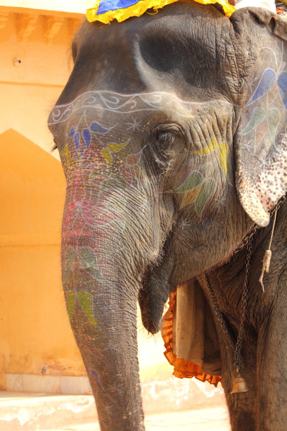 在印度装饰优雅图片下载