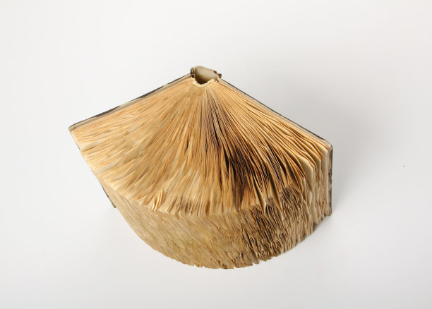 老书,孤立图片下载