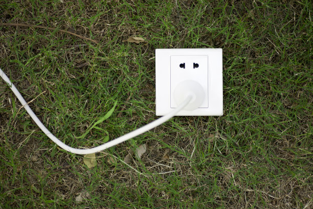 套接字在草原图片下载