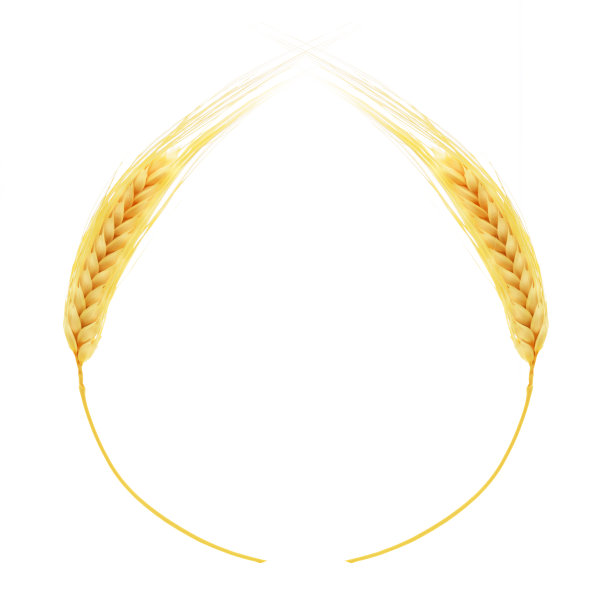 耳朵的小麦。图片下载