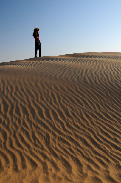阿拉伯鲣鱼图片下载