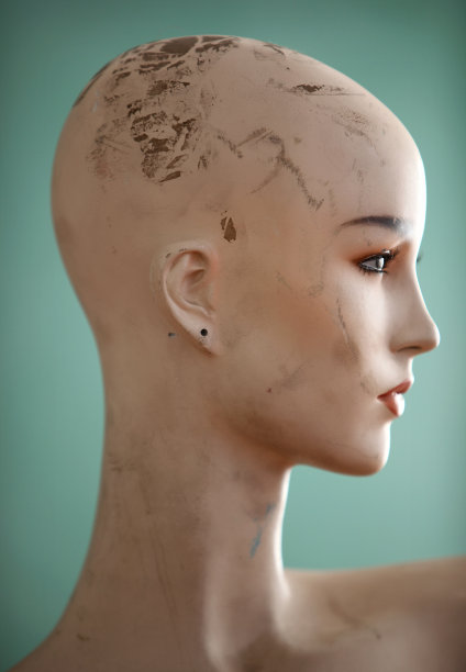 人体模型图片下载