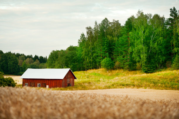 夏天田野里的红色谷仓图片下载