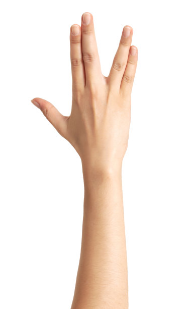 孤立的手图片下载