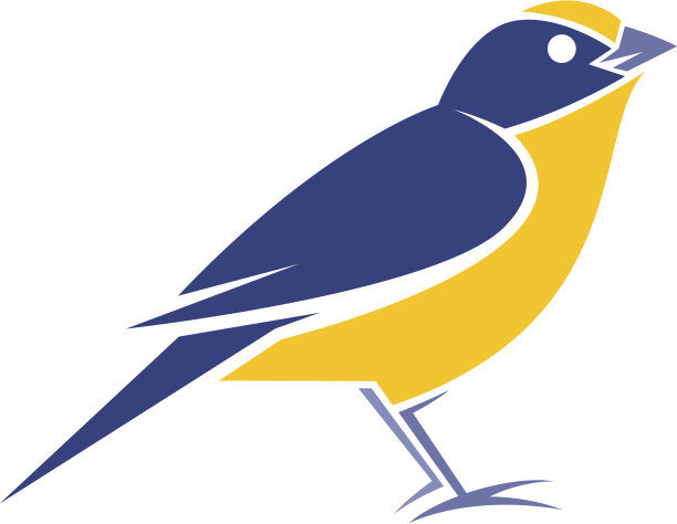 可爱的鸟图片下载