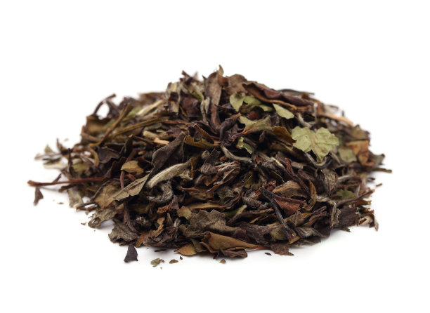 一把绿茶叶子图片下载