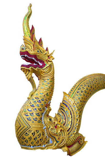 白色背景上的金色那加之王图片下载