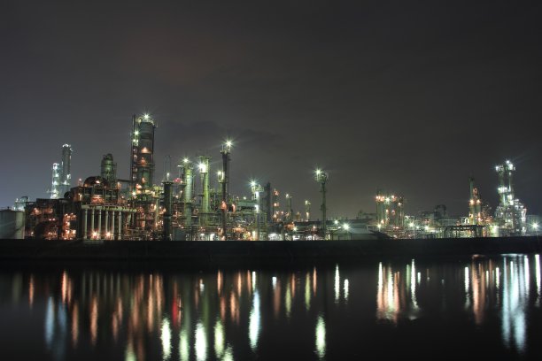 复杂的植物图片下载