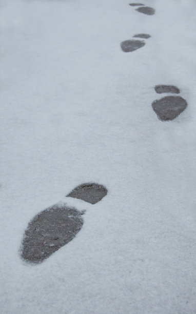 雪地里的脚印图片下载