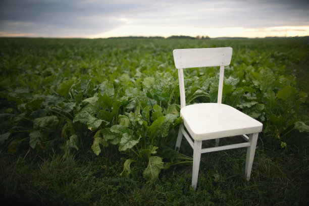 田野里的白色椅子图片下载