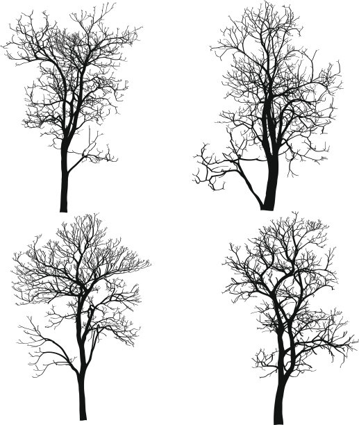 死树没有叶子矢量插图草图。图片下载