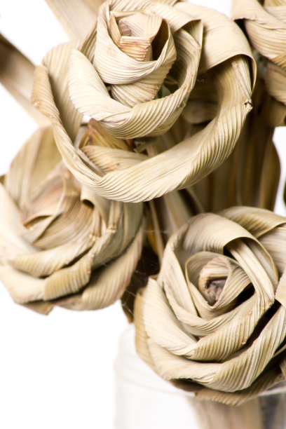 干玫瑰花图片下载