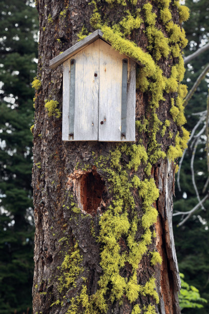 空白的荒野的迹象图片下载