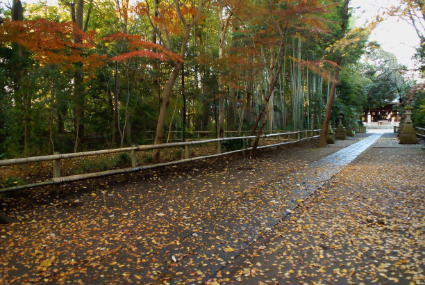雨后进场图片下载