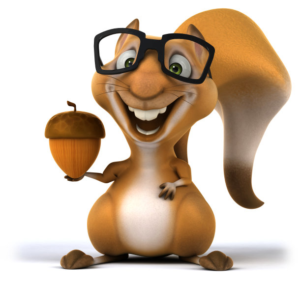 有趣的松鼠图片下载