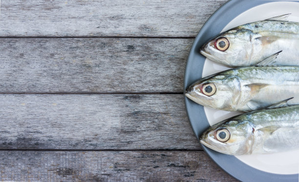 印度鲭鱼图片下载