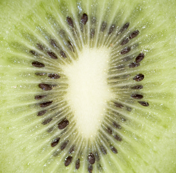 几维鸟的抽象照片图片下载