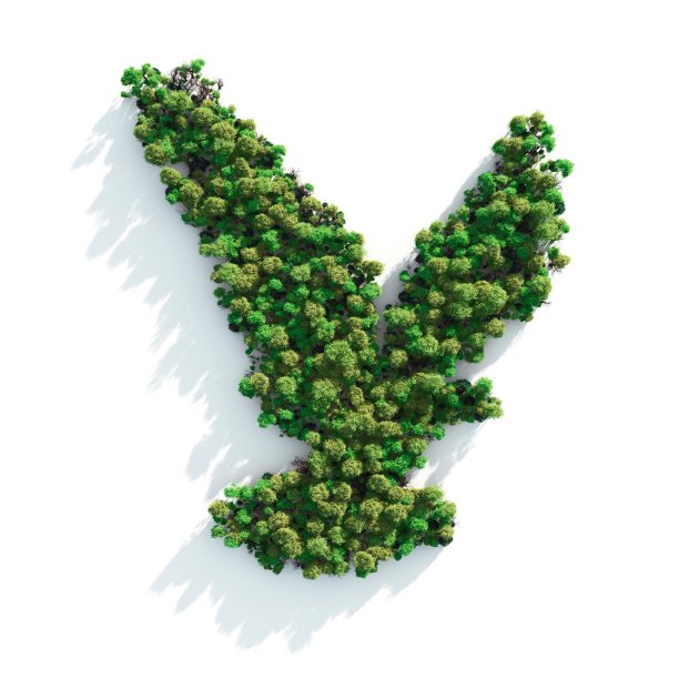 保护鹰的栖息地图片下载