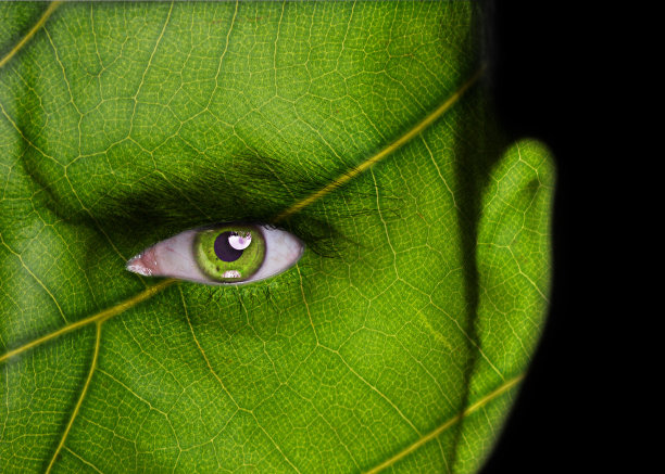 自然概念图片下载