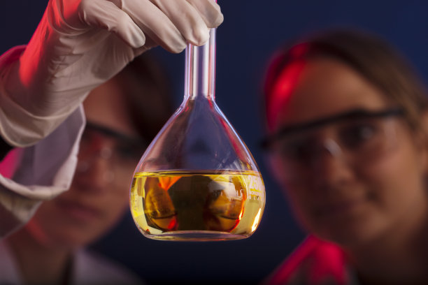 两名女性实验室技术员举起烧瓶，认真检查里面的东西图片下载