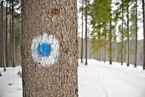蓝色的点标记图片下载