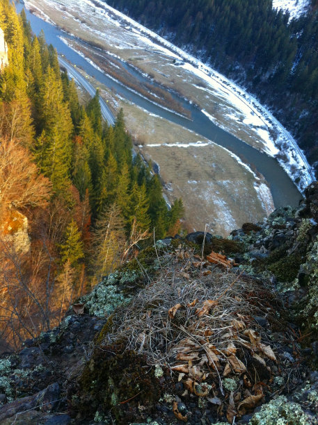 在山顶上图片下载
