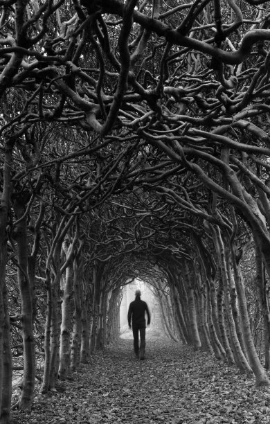 黑暗,自然隧道图片下载