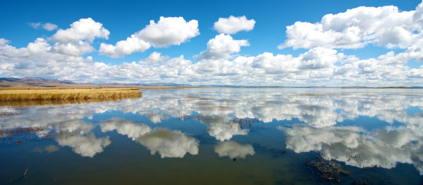 花湖反射图片下载