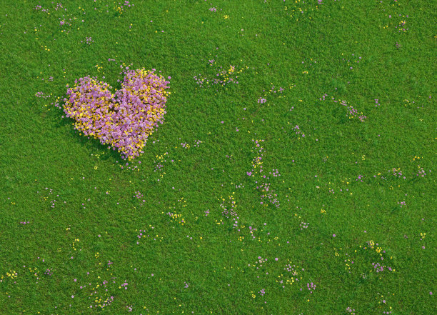 情人节的心由鲜花制成图片下载