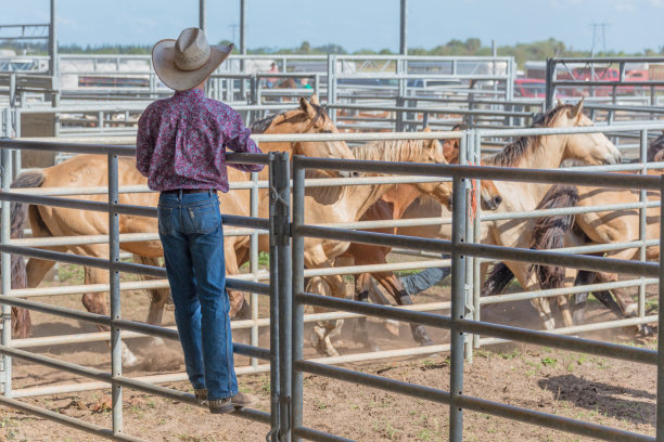 牛仔竞技会的后台图片下载