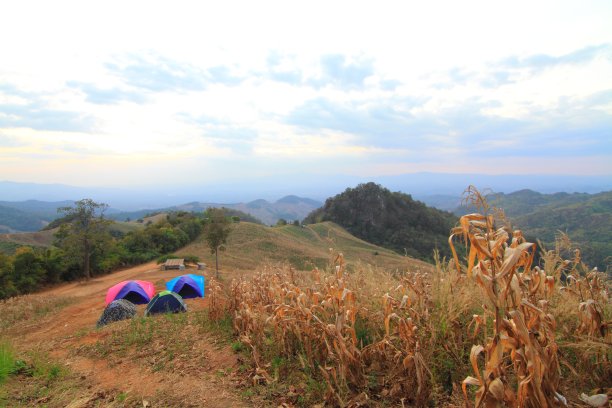 在山上露营图片下载