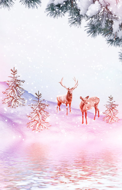 冰雪覆盖的树木。鹿图片下载