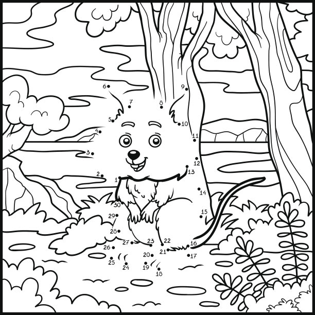 数字游戏，儿童游戏，短尾矮袋鼠图片下载