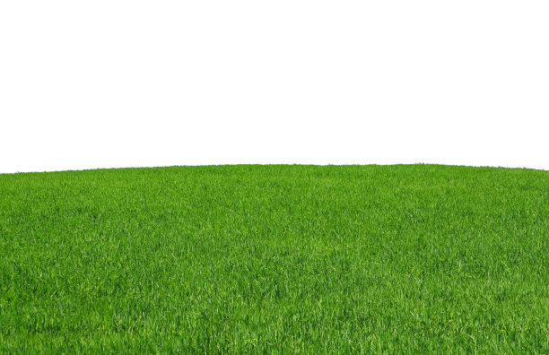 孤立的草地图片下载