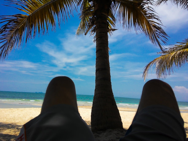 椰子树荫下的休闲图片下载