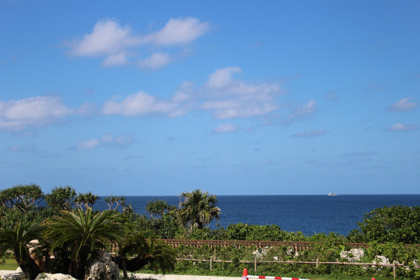 沿着海滩的热带漫步图片下载